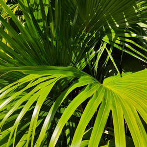 人妻系列无码专区无码中出
